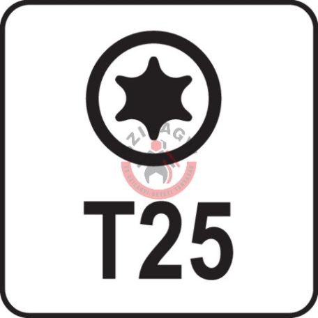 Rátűzőkulcs 1/2" T25 100mm