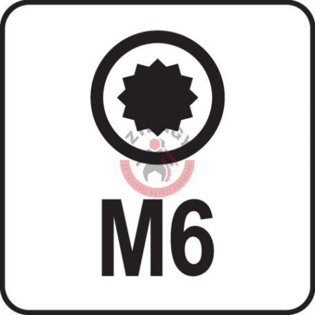 Rátűzőkulcs SPLINE 1/2" M6 55mm