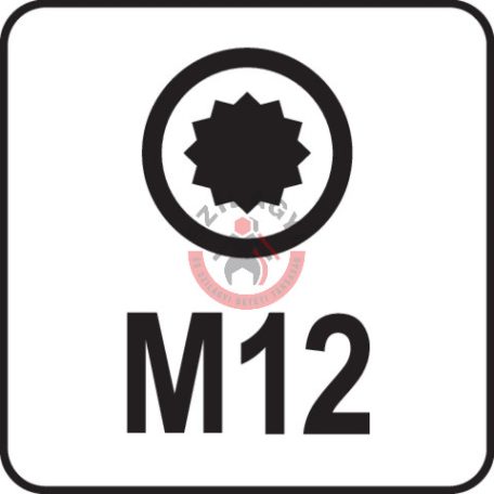 Rátűzőkulcs SPLINE 1/2" M12 100mm