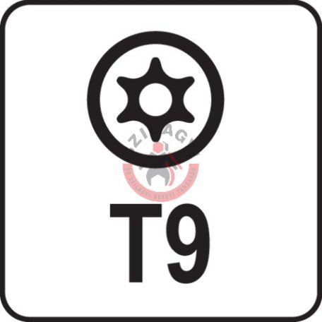 Torx kulcs, biztonsági(furatos) T9 "T" markolattal