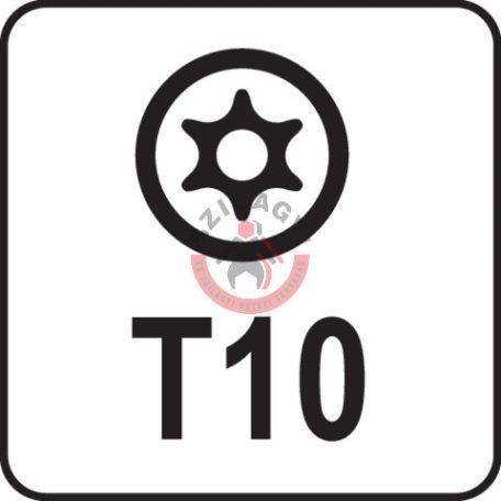 Torx kulcs, biztonsági(furatos) T10 "T" markolattal