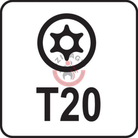 Torx kulcs, biztonsági(furatos) T20 "T" markolattal