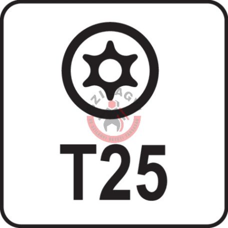 Torx kulcs, biztonsági(furatos) T25 "T" markolattal