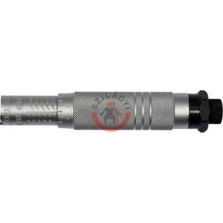 Nyomatékkulcs 3/8" 20-110Nm
