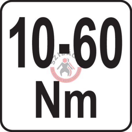 Nyomatékkulcs 1/2" 10-60Nm