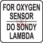 Dugókulcs készlet lambda-szondához 22mm