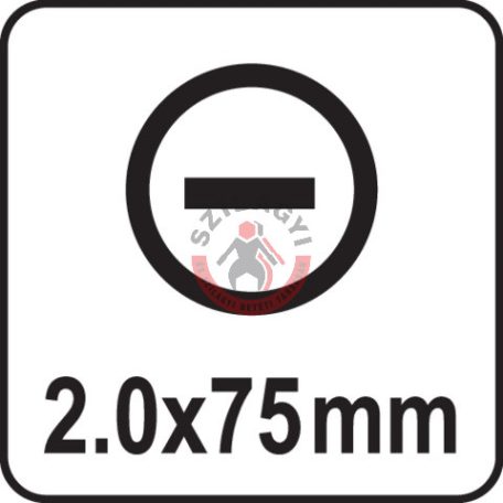Csavarhúzó LAPOS 2x75mm