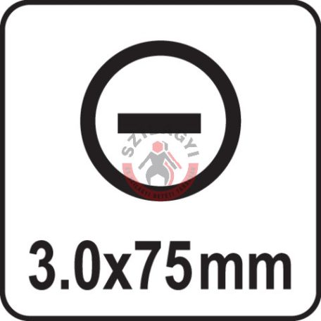 Csavarhúzó LAPOS 3x75mm