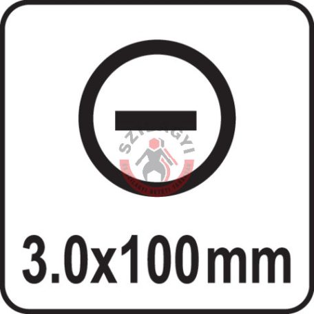 Csavarhúzó LAPOS 3x100mm