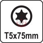 Csavarhúzó TORX T5x75mm