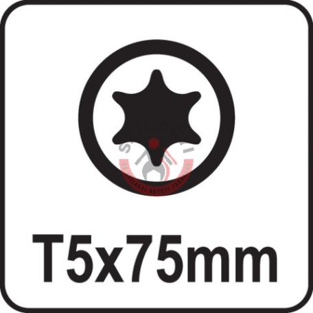 Csavarhúzó TORX T5x75mm