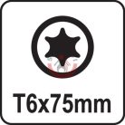 Csavarhúzó TORX T6x75mm