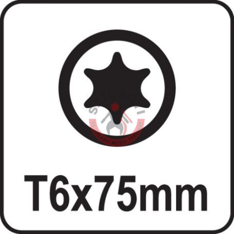 Csavarhúzó TORX T6x75mm