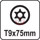 Csavarhúzó TORX T9x75mm
