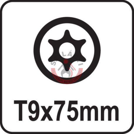 Csavarhúzó TORX T9x75mm