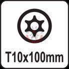 Csavarhúzó TORX T10x100mm