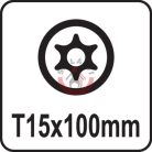 Csavarhúzó TORX T15x100mm