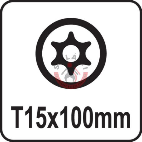 Csavarhúzó TORX T15x100mm