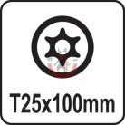 Csavarhúzó TORX T25x100mm