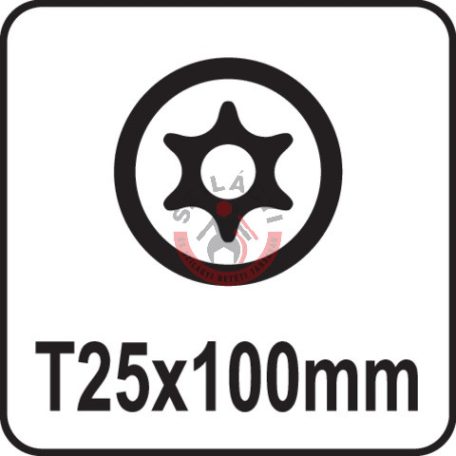 Csavarhúzó TORX T25x100mm