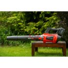 Akkus lombfújó 18V (akku és töltő nélkül)