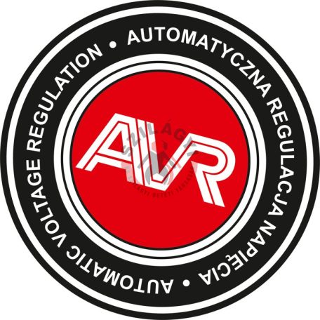 Áramfejlesztő 2700 W 196 cm3